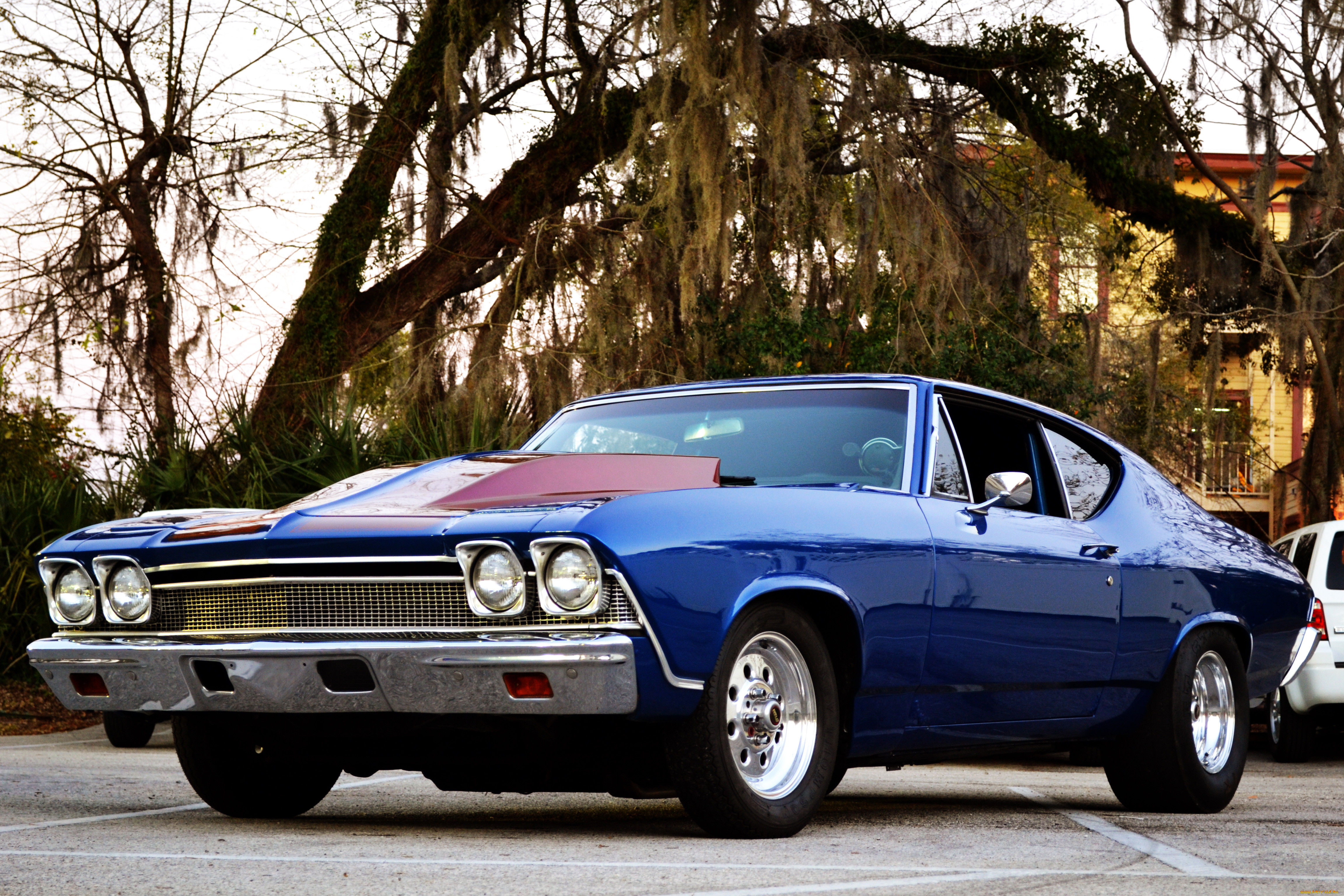 , , , , 1968, chevrolet, chevelle